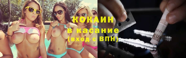 ПСИЛОЦИБИНОВЫЕ ГРИБЫ Алзамай