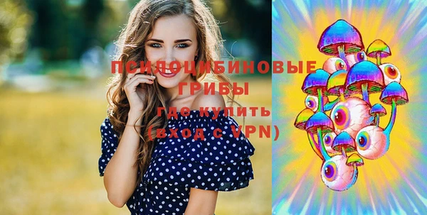 ПСИЛОЦИБИНОВЫЕ ГРИБЫ Алзамай