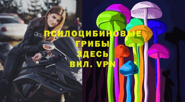 дмт Алексеевка