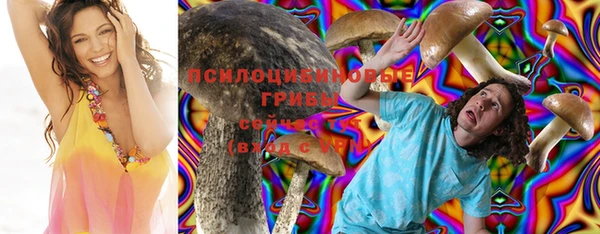ПСИЛОЦИБИНОВЫЕ ГРИБЫ Алзамай