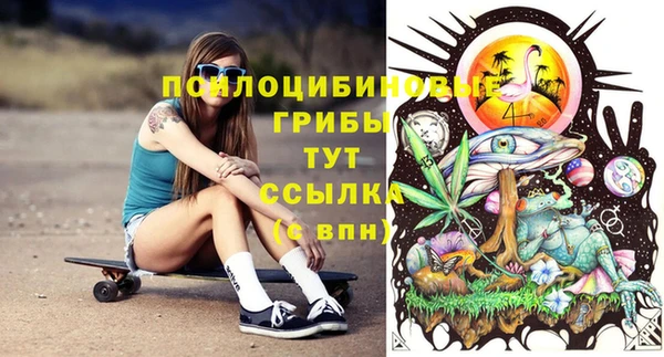 ПСИЛОЦИБИНОВЫЕ ГРИБЫ Алзамай